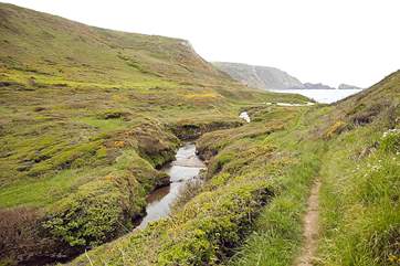 The path leads down to the beach.