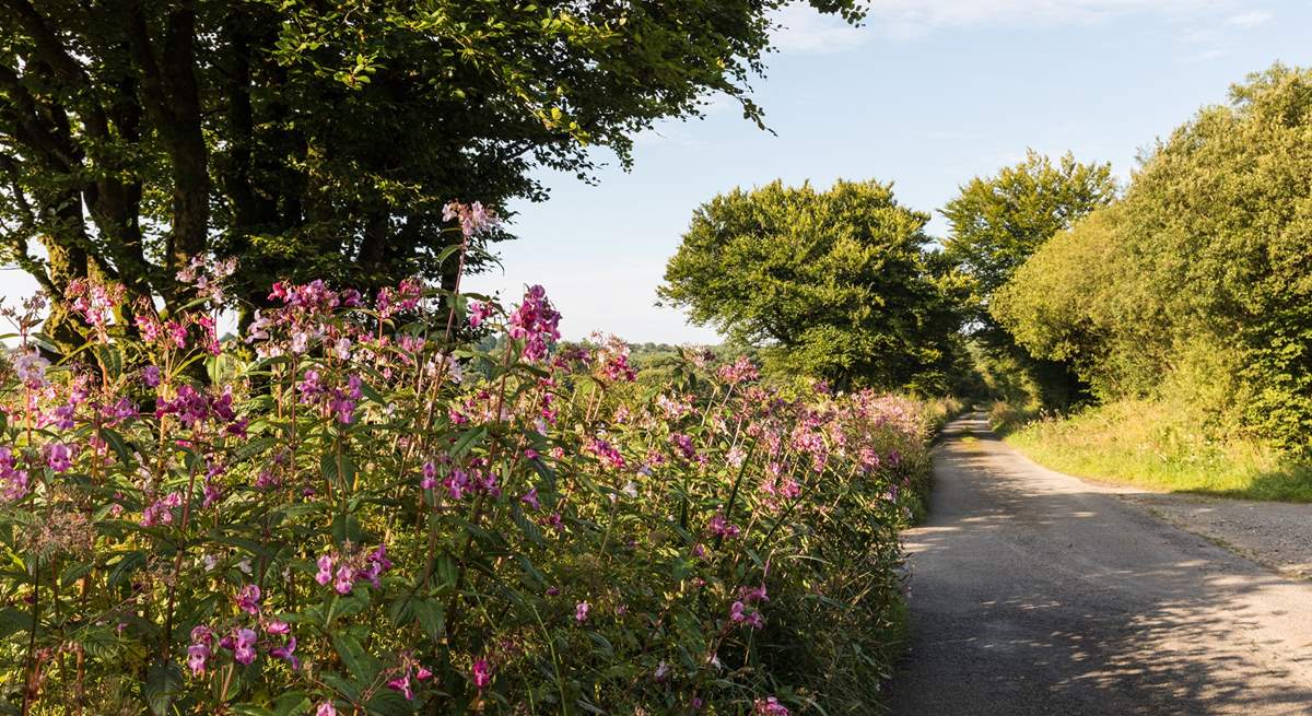 Hartland is a beautiful area to explore.