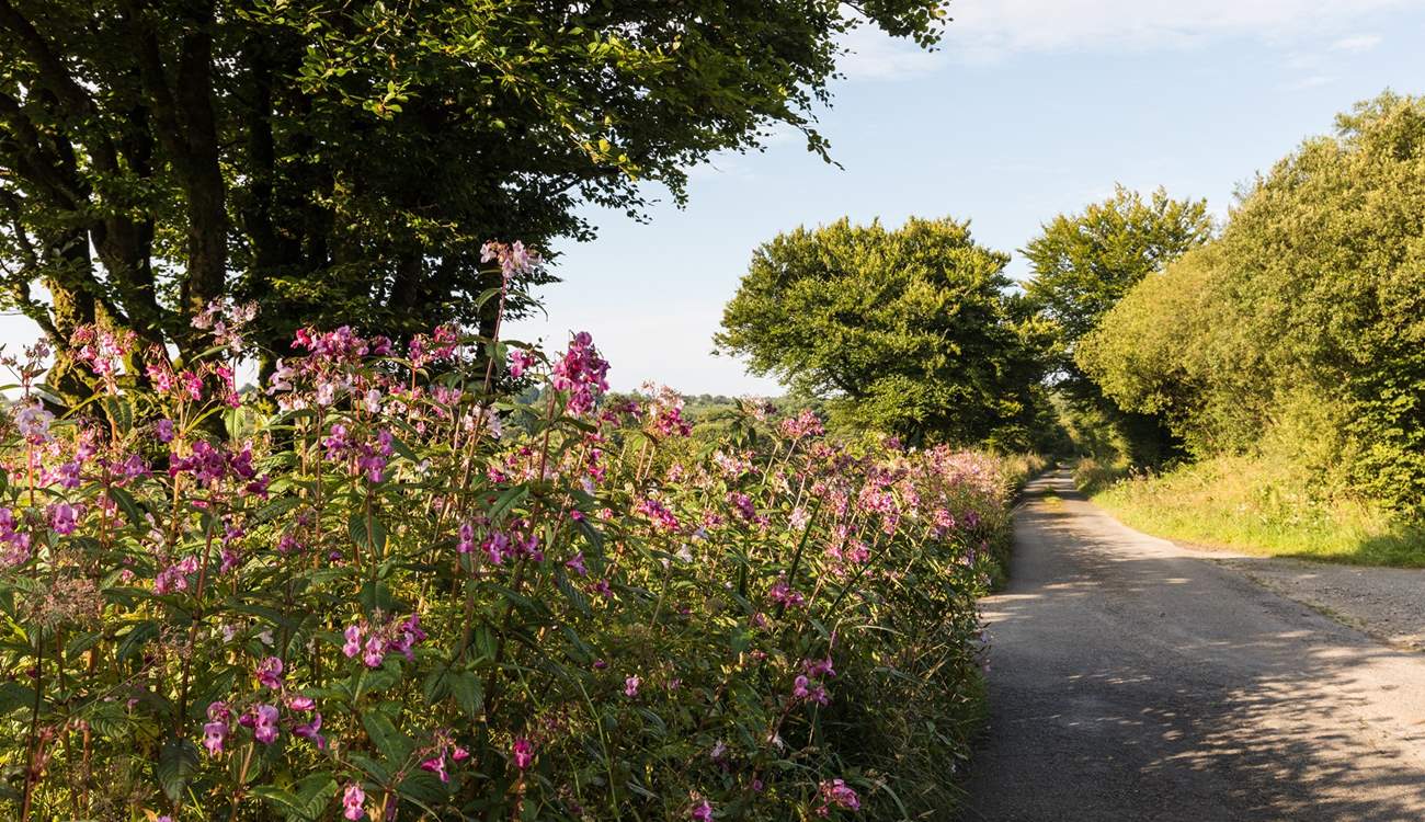 Hartland is a beautiful area to explore.