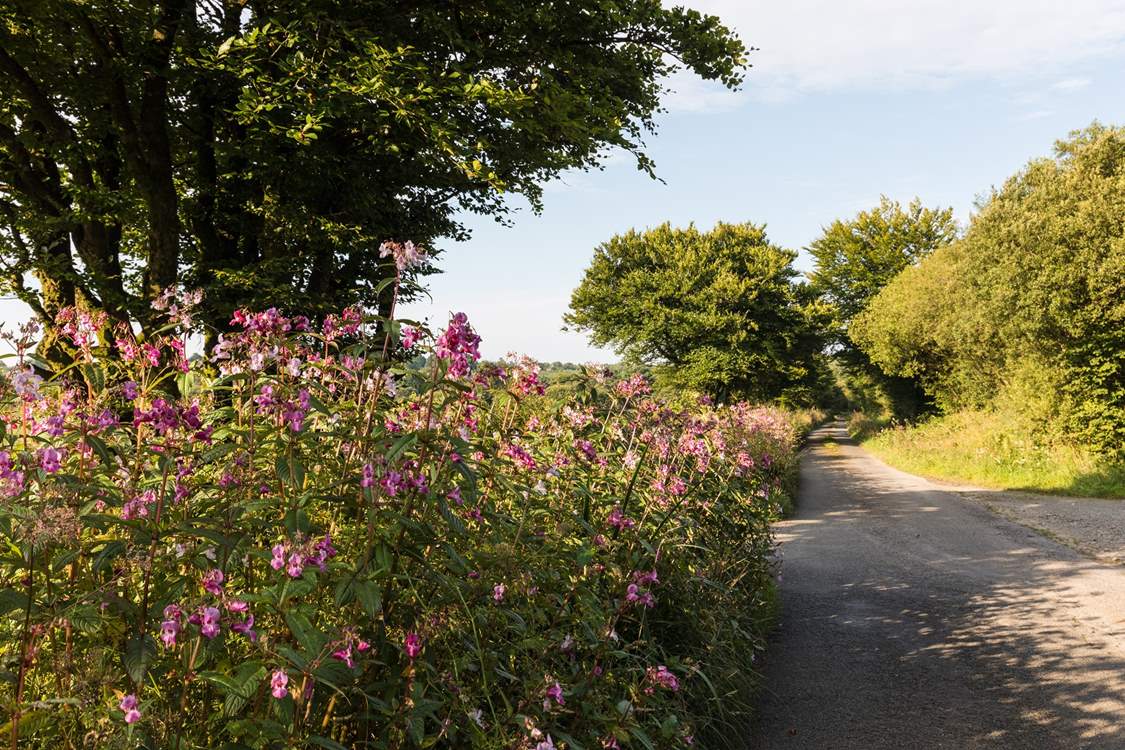 Hartland is a beautiful area to explore.