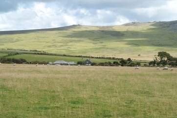 Sheep and wild ponies are your neighbours.