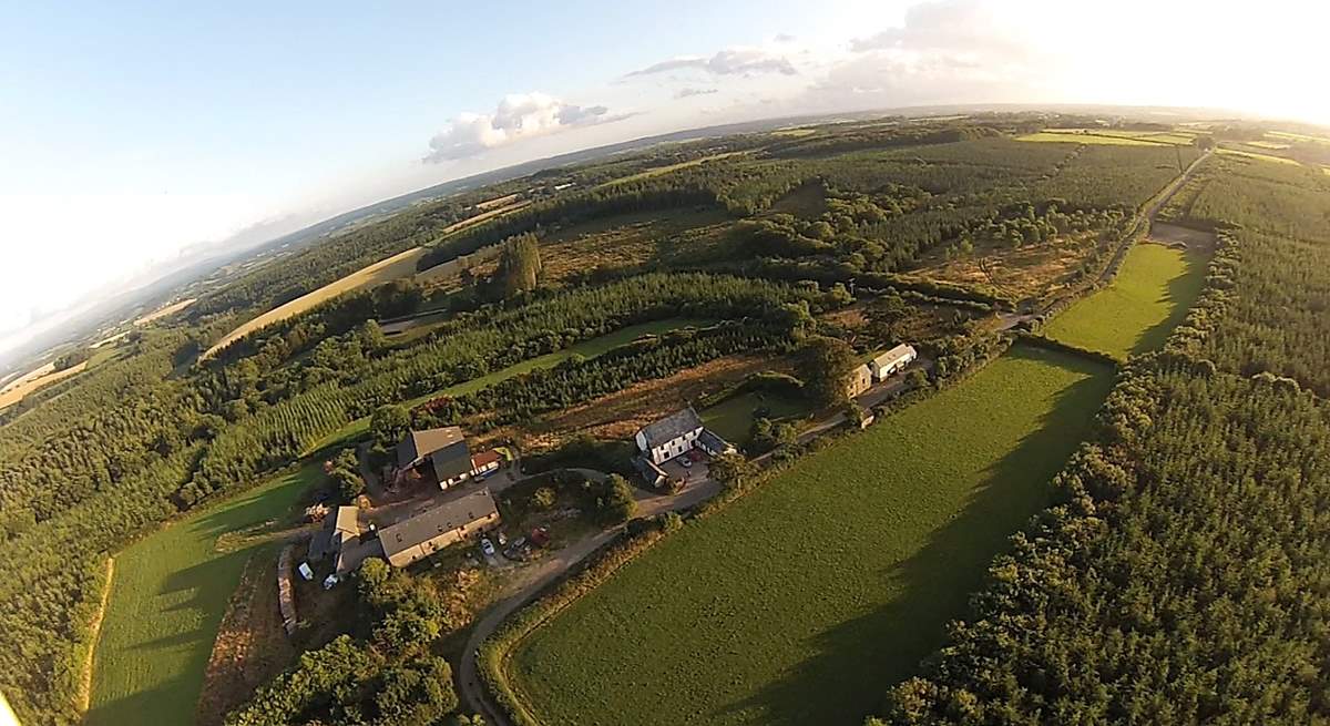 An aerial view of Grascott Forest.