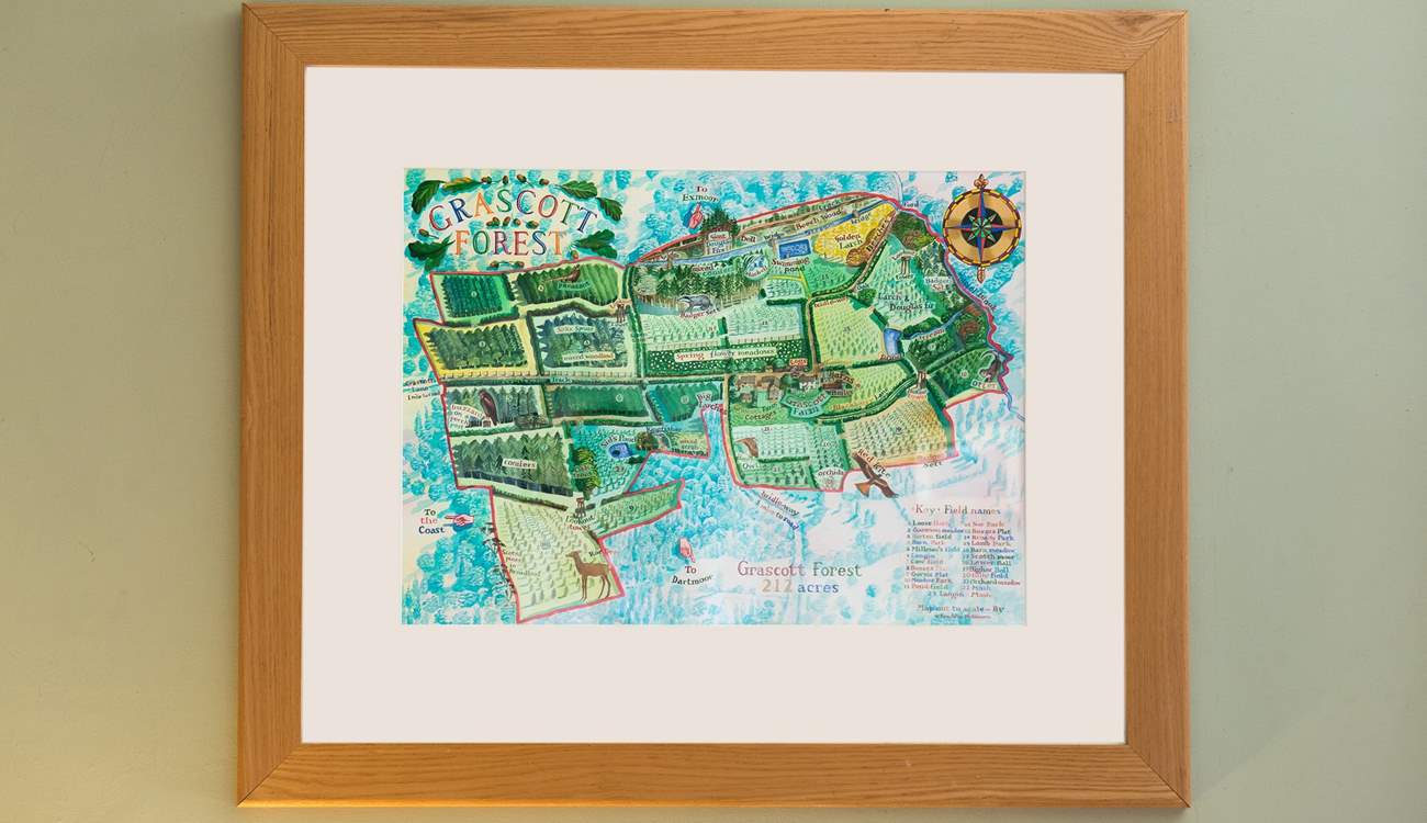 A map of Grascott Forest grounds.