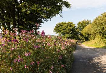 Discover beautiful Hartlands in north Devon.