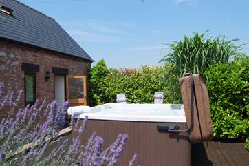 This is the private deck with the super-size hot tub .The deck is surrounded by fencing and mature shrubs and is very private.