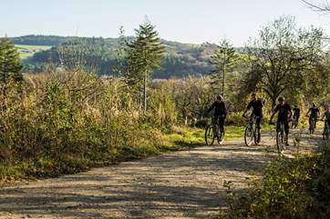 Hire a bike and enjoy the cycle trail at Lanhydrock.