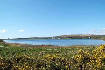 Looking across Stithians Lake from the footpath which circles it, towards the Golden Lion pub and the watersports centre, which are just a few minutes' drive from Treboast Skyber.