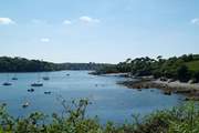 The Helford River, with beautiful Trebah Garden's private beach in the distance on the right.