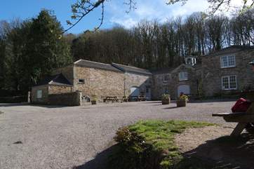 One of the old stables at Penrose is now a cafe where you can stop for refreshments.