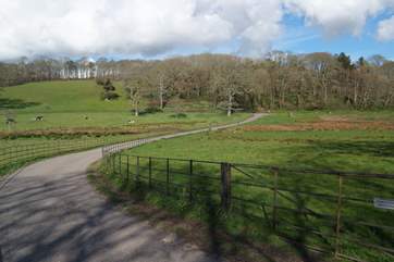 This is a pretty place to visit at any time of year, watch the changing of the seasons.