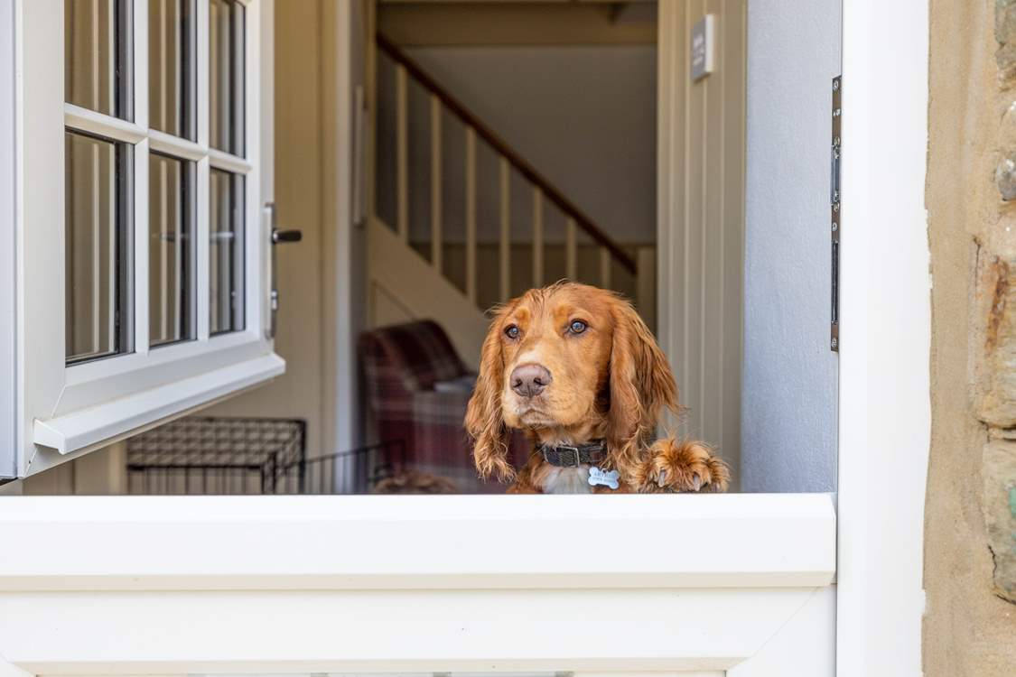 Smugglers Cottage is dog friendly.