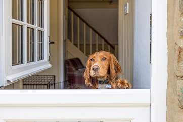 Smugglers Cottage is dog friendly!