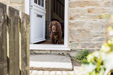 Don't forget the walking boots and dog treats.