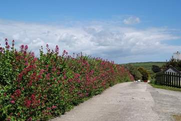 The private lane leading to Nantivet is a little bumpy in places.