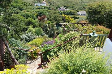 Steps and narrow little paths lead from the patio, down to the lushly planted garden.