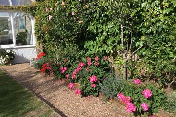 What beautiful gardens when in broom.