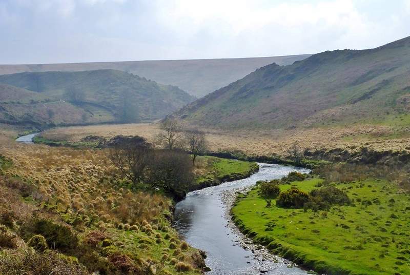 Pack a picnic and go for an Exmoor walk from Landacre to Simonsbath.  Magical moorland wherever you look and a good area to spot Exmoor ponies and Red Deer. 