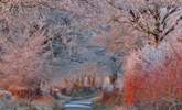 Exmoor is magical, whatever the weather.  A january frost on the road to Anstey ridge can be as beautiful as a sunny afternoon at Tarr Steps. - Thumbnail Image