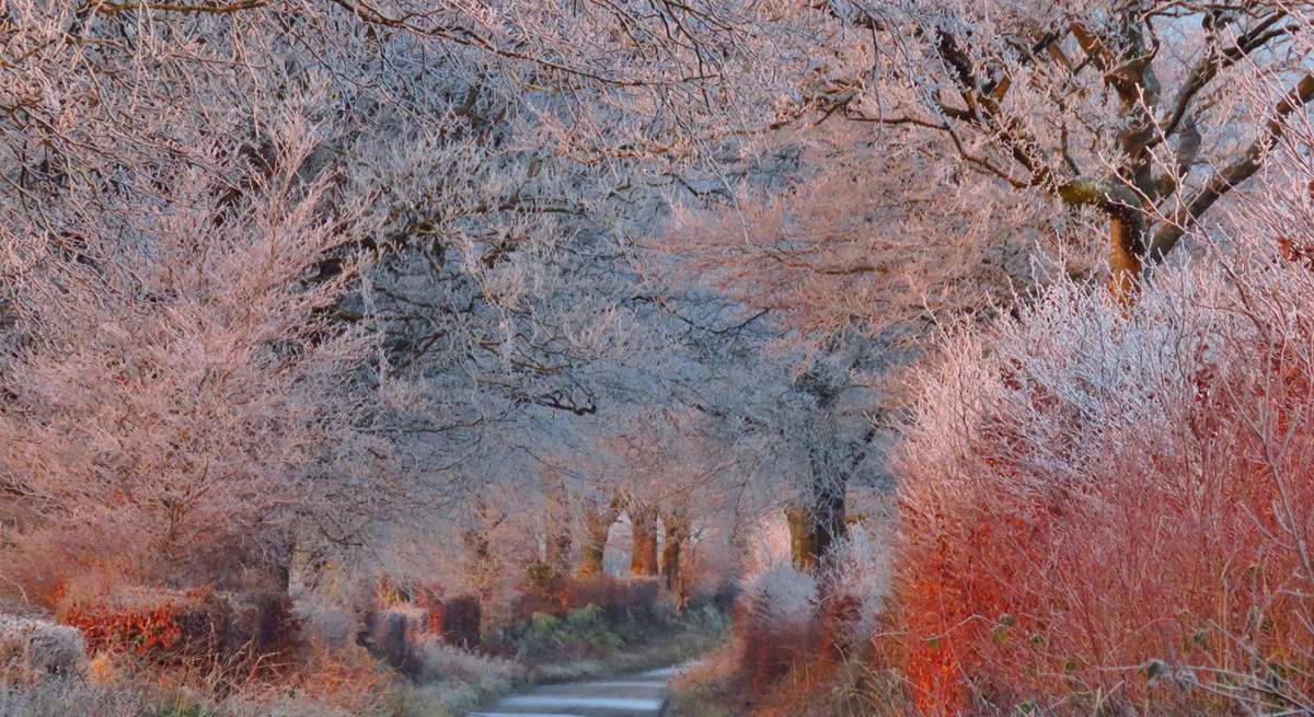 Exmoor is magical, whatever the weather.  A january frost on the road to Anstey ridge can be as beautiful as a sunny afternoon at Tarr Steps.