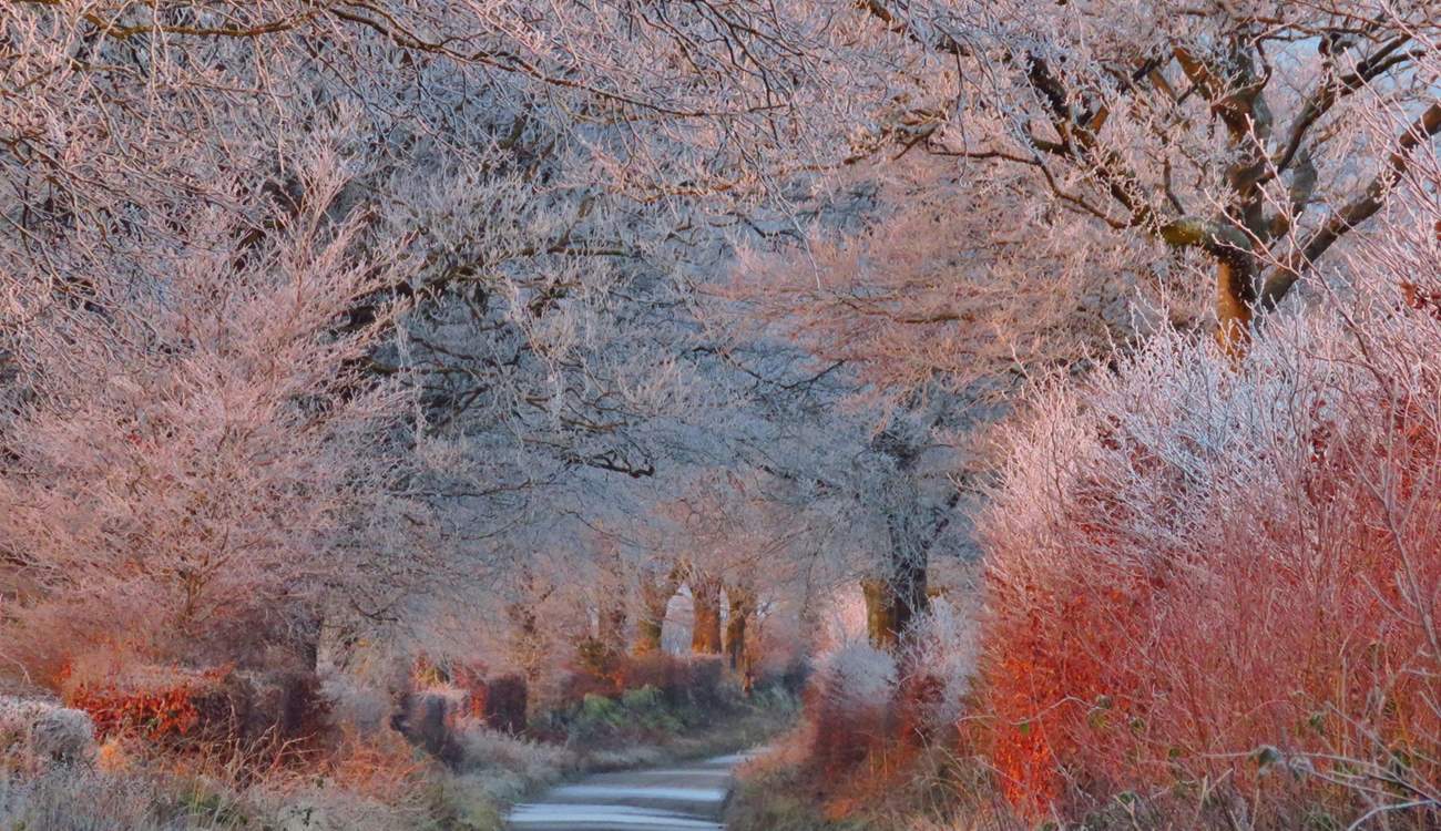 Exmoor is magical, whatever the weather.  A january frost on the road to Anstey ridge can be as beautiful as a sunny afternoon at Tarr Steps.