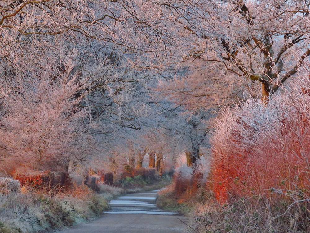 Exmoor is magical, whatever the weather.  A january frost on the road to Anstey ridge can be as beautiful as a sunny afternoon at Tarr Steps.