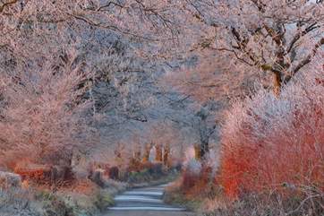 Exmoor is magical, whatever the weather. A january frost on the road to Anstey ridge can be as beautiful as a sunny afternoon at Tarr Steps.