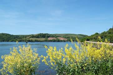 Up river on the River Dart.