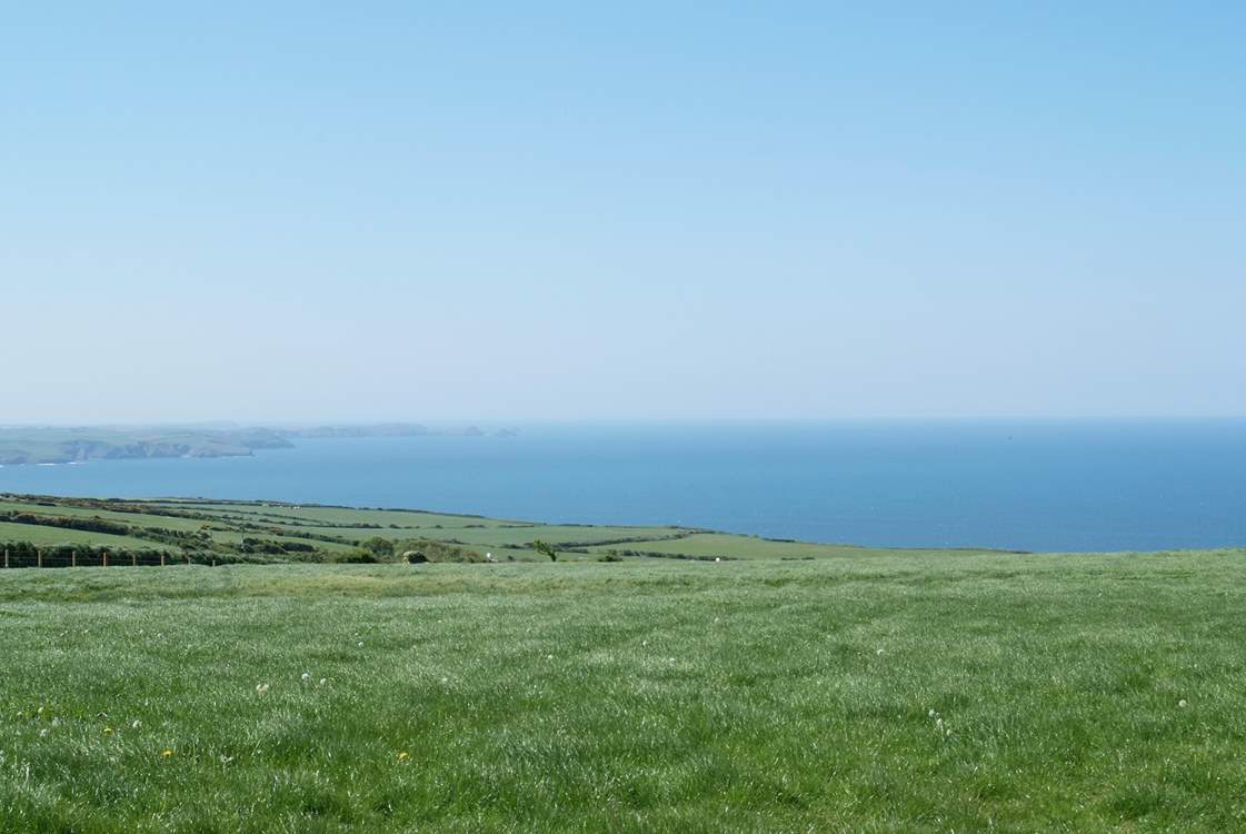 The local coastline within walking distance of Court Cottage.