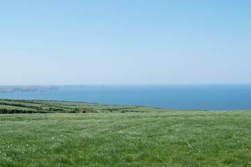 The local coastline within walking distance of Court Cottage.