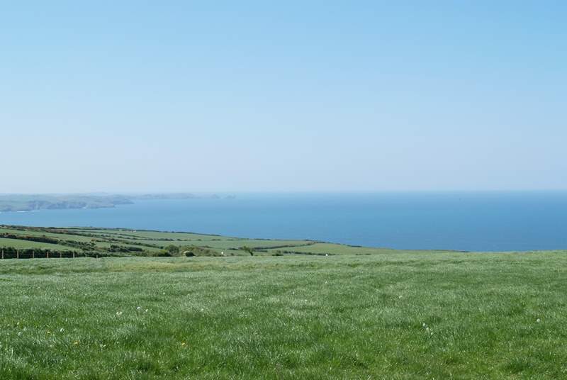 The local coastline within walking distance of Court Cottage.