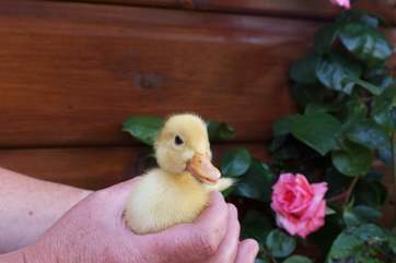 ....and small!