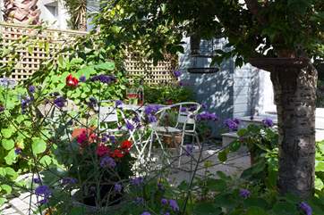 What an oasis of tranquillity....