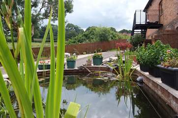 There is a pretty ornamental pond in front of the barn - the steps up to the accommodation are in the background but there are stone steps at the side of the barn too.