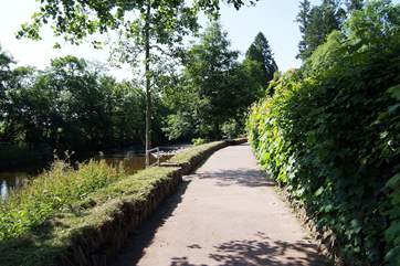 The riverside walk from the centre of Dulverton. Sit on a bench and listen to the gentle sound of the river.