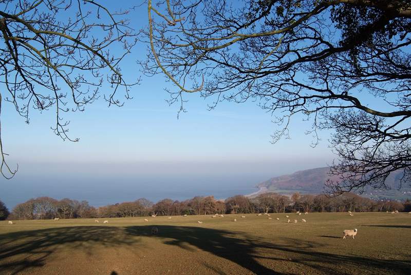 This is where Exmoor meets the sea, close to Porlock.