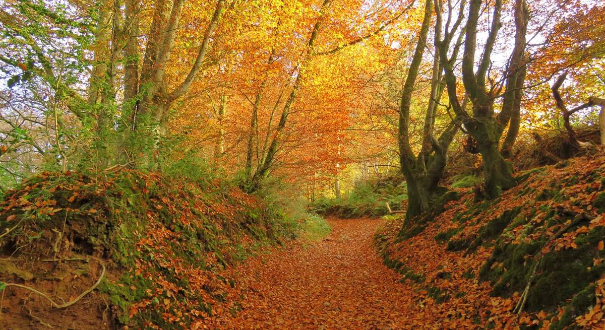 Exmoor is as beautiful in the Autumn as it is in Summer.  Pack your walking boots and take a long hike - perhaps to have lunch at a cosy pub somewhere......