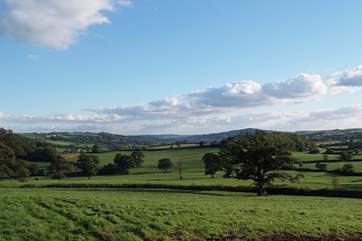 The view down the stunning Yarcombe Valley - right in front of the cottage.
