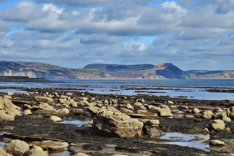 Low tide in Lyme Regis on the Jurassic Coast, with a view of Golden Cap - the Dorset coast's highest point in the distance.  Have a great day out with breathtaking walks and a spot of fossil hunting!