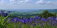 Just a few miles away you will find NT Lambert's Castle, with it's lovely walks and views of the Jurassic Coast.
