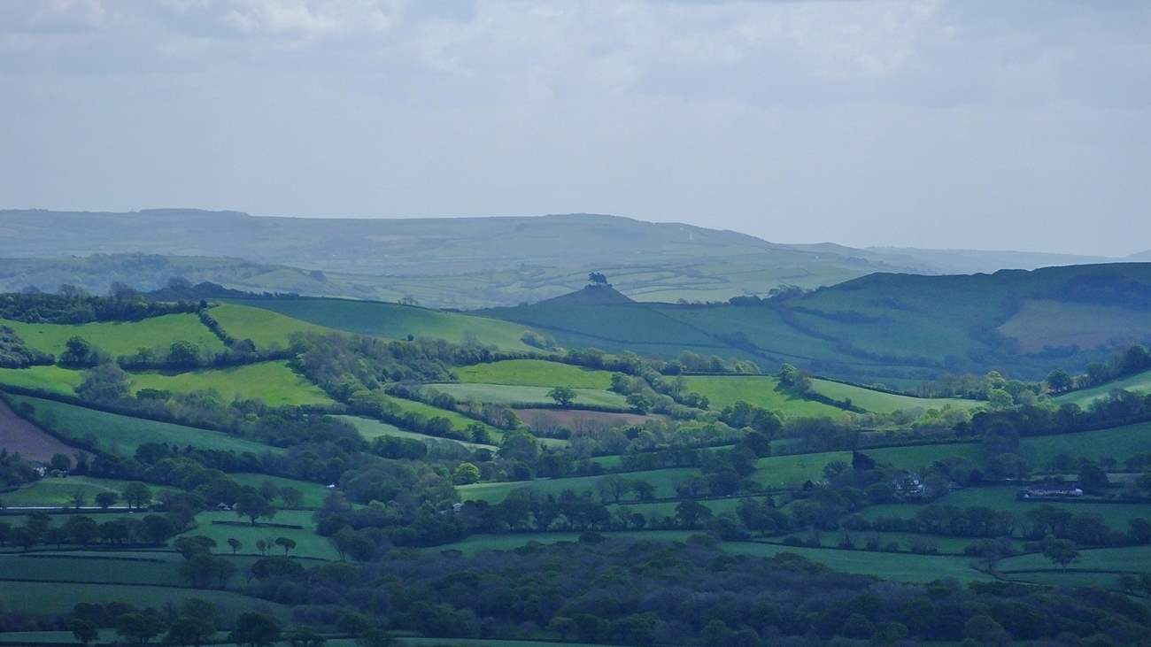 The rolling hills of Dorset, with the iconic Colmer's Hill in the distance. A wonderful area for walking and hiding in some cosy, welcoming pubs.