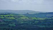 The rolling hills of Dorset, with the iconic Colmer's Hill in the distance. A wonderful area for walking and hiding in some cosy, welcoming pubs.