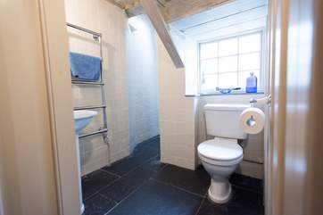 The ground floor wet-room.