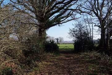 The far end of the bridleway past the lodge.