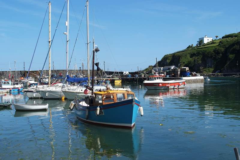 Fishing boats in the harbour.
