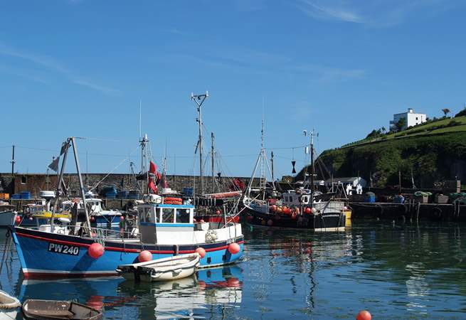 There are plenty of boats in Mevagissey offering fishing trips along the coast.