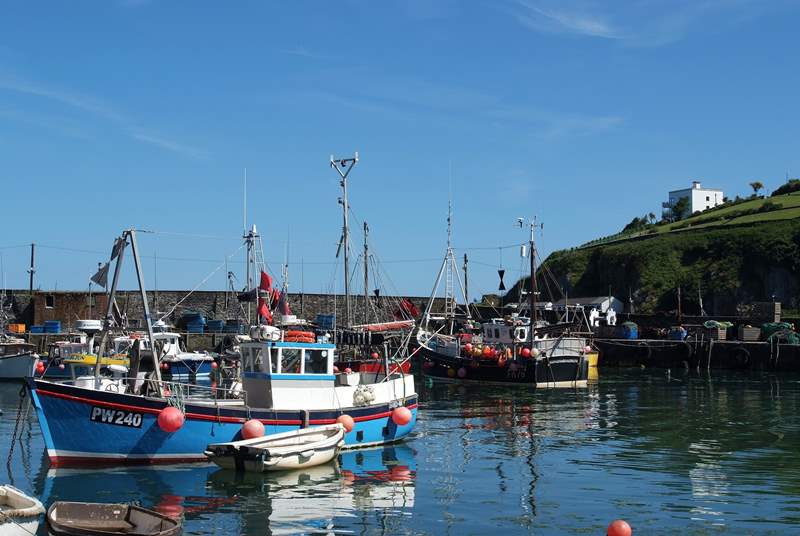 There are plenty of boats in Mevagissey offering fishing trips along the coast.