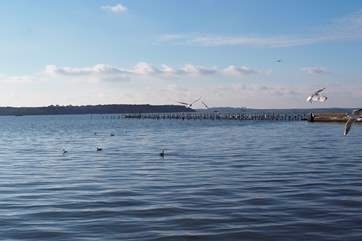 A tranquil evening view across Poole harbour to Brownsea Island. You can take ferry rides around the harbour and visit the island which is owned by the National Trust.