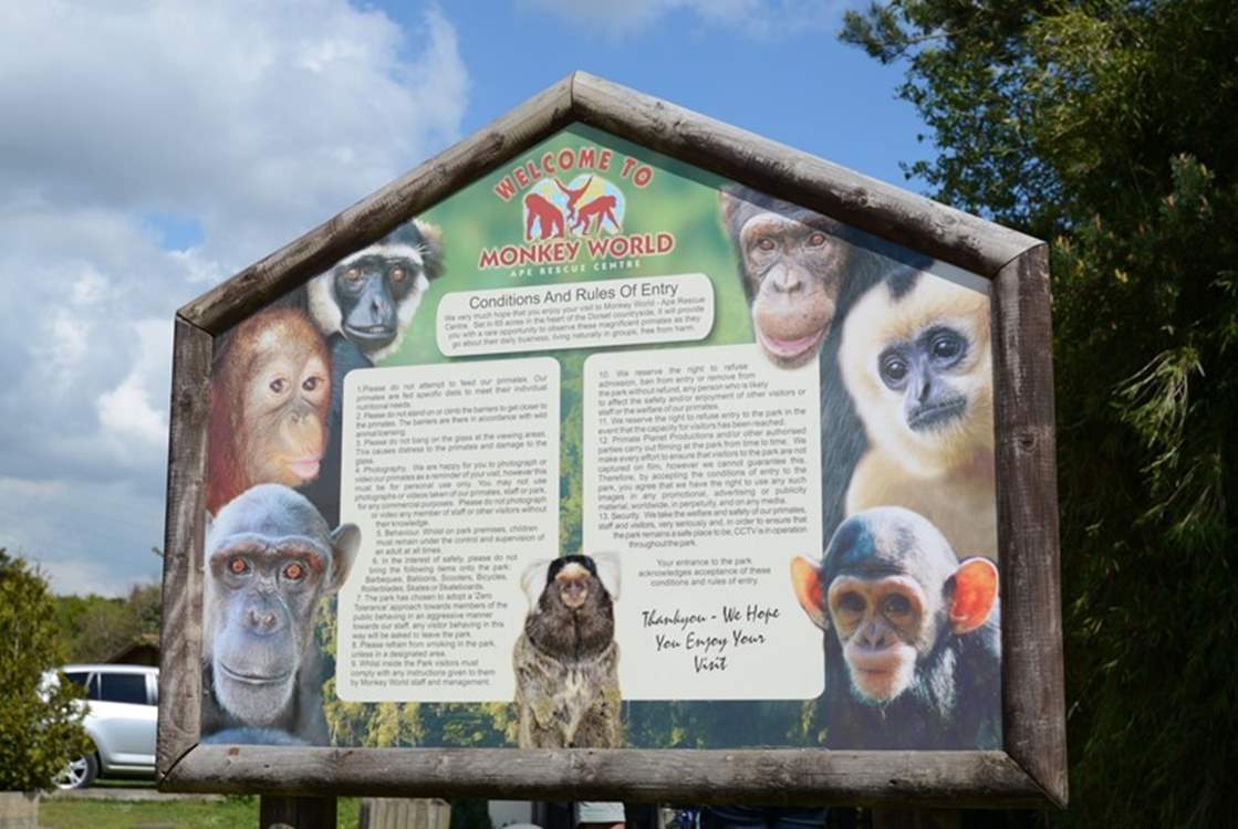 Nearby Monkey World, is a 65-acre ape and monkey sanctuary and rescue centre.