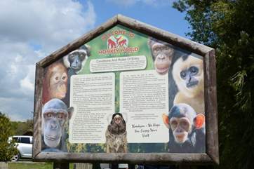 Nearby Monkey World, is a 65-acre ape and monkey sanctuary and rescue centre.