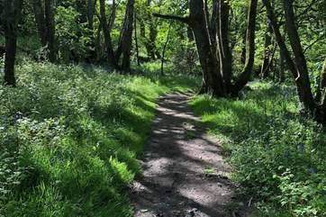 The walk to the cove.